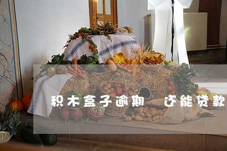 积木盒子逾期 还能贷款吗 积木盒子逾期 还能贷款吗